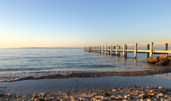 west chop vineyard haven
