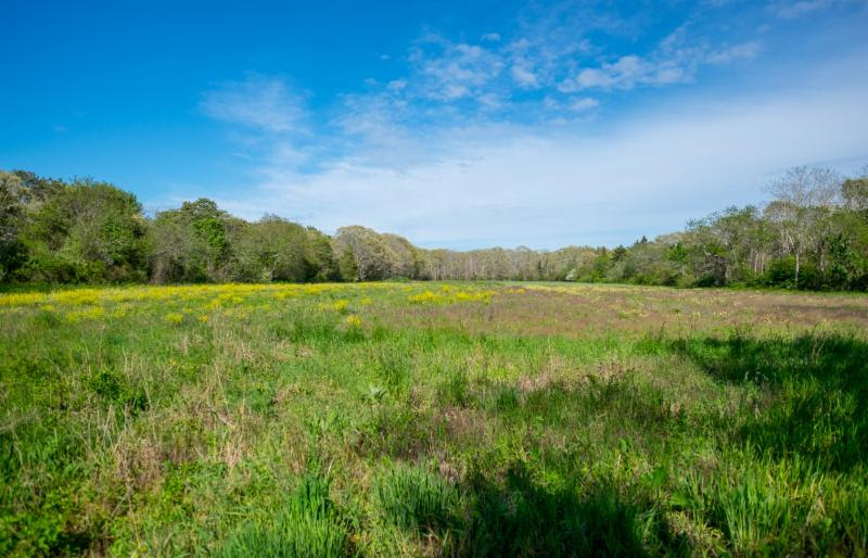 west tisbury, Marthas Vineyard property for sale and rent