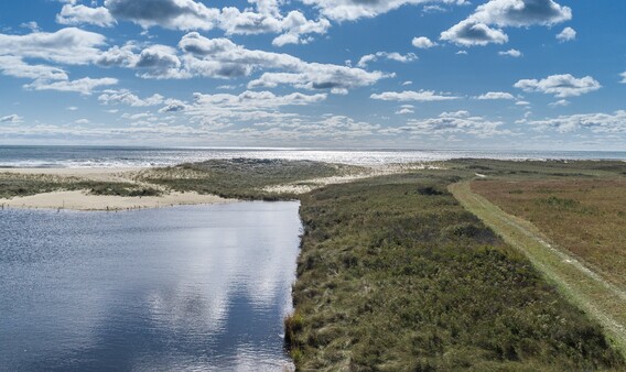 South Shore Oceanfront martha's vineyard real estate and vacation rentals