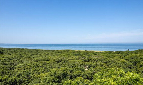 Martha's Vineyard Real Estate