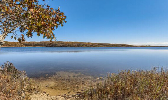 Martha's Vineyard Real Estate